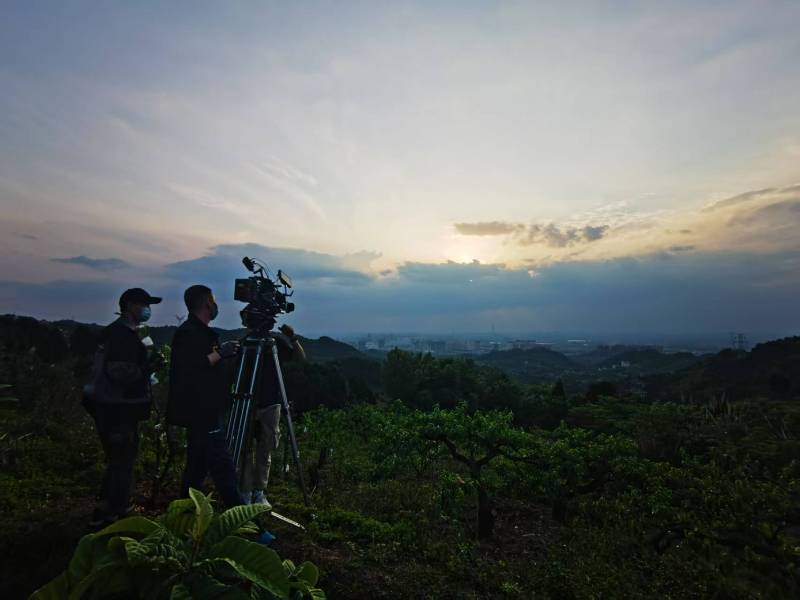 聚焦美兰区产品宣传视频拍摄公司，用专业实力铸就品牌传播传奇